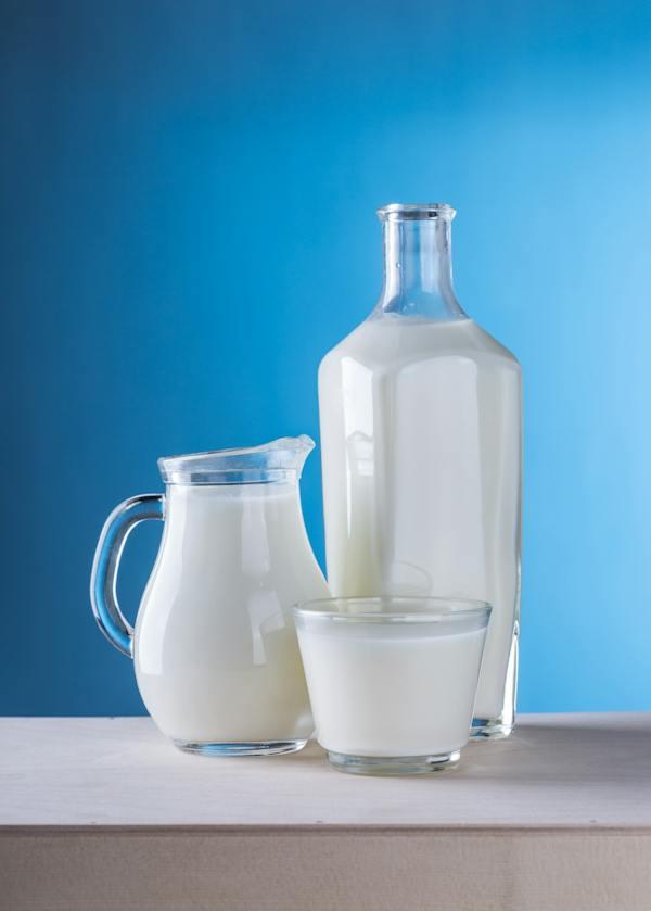 Lait de vache, chèvre, brebis sont-ils bons pour la santé?